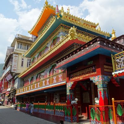 Delhi to Amritsar and Dharamsala