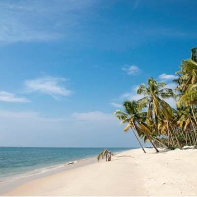 Cochin to Alleppey & Marari Beach