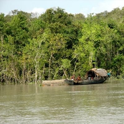 Sunderban Mangrove Wetland - Tiger Reserve