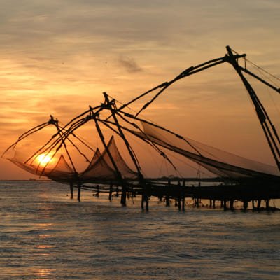 Cochin Essence: Discovering the Best of Cochin