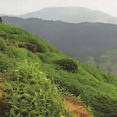 Mystical Journey to Karla, Bhaja Caves Tour from Mumbai