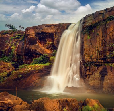 Cochin to Athirappilly Falls Tour