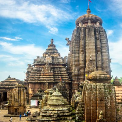 Nagpur to Bhubaneshwar Tiger, Tribal & Temples