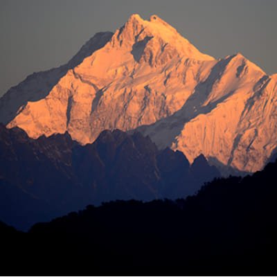 Tea Gardens and Monasteries of Darjeeling and Gangtok