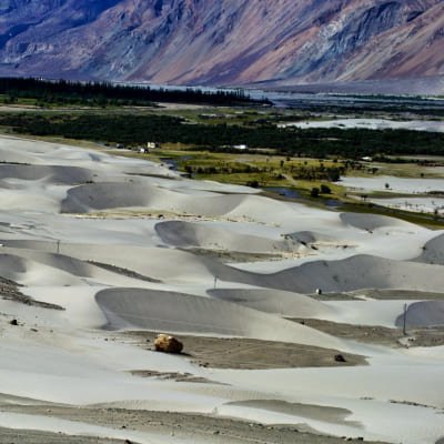 Sand Dunes and Monasteries: A Journey to Nubra Valley from Leh