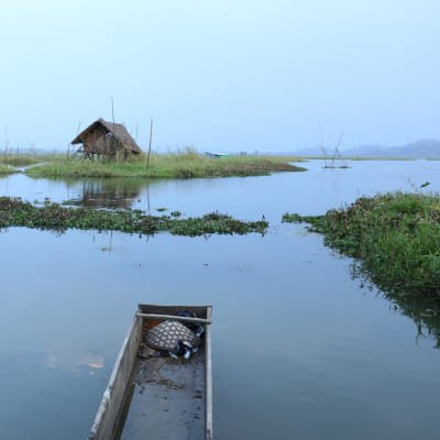 Tribal Communities & Ever Green Landscapes of North East India