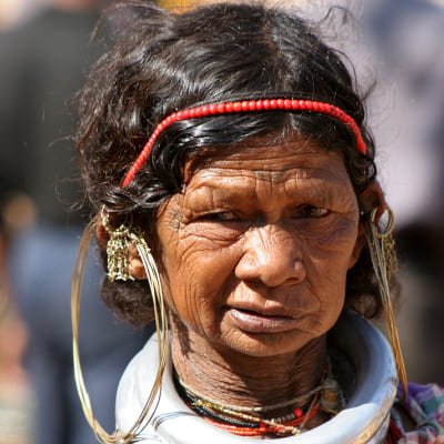 Bhubaneshwar to Nagpur - Temples, Tribal Villages and Tiger Safari