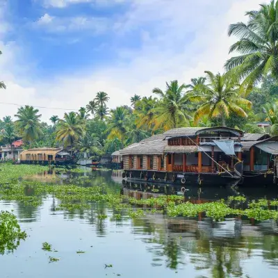 Kerala Tea Estate, Backwater & Beach Tour