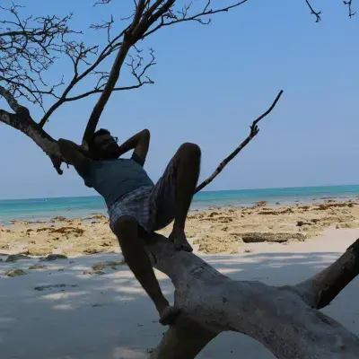 Kerala Tea Estate, Backwater & Lakshadweep Island Tour