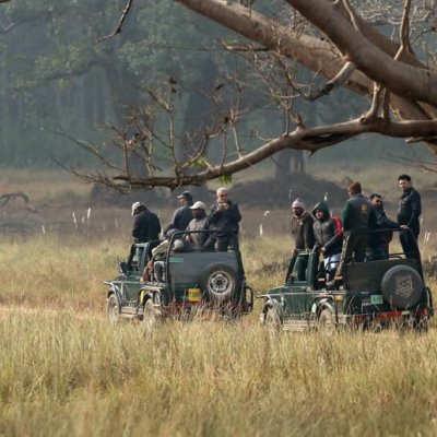 Majestic Wildlife Tour from Jabalpur to Kanha National Park