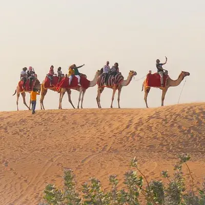 Dubai and Fujairah Beach Escape: City Thrills and Coastal Bliss