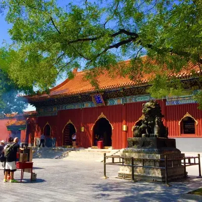 Beijing, Xian and Shanghai Highlights