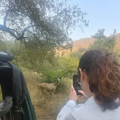 Sariska Sojourn: A Two-Day Wildlife and Cultural Expedition