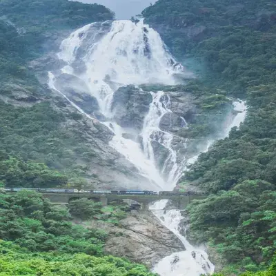 Dudhsagar Falls and Tambdisurla Temples Day Tour from Goa