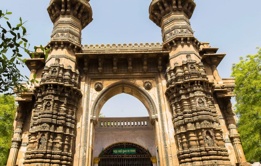 Across The Temples, Historical Sites & Wildlife of Gujarat