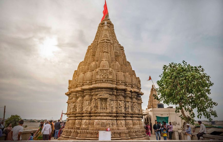 Across The Temples, Historical Sites & Wildlife of Gujarat
