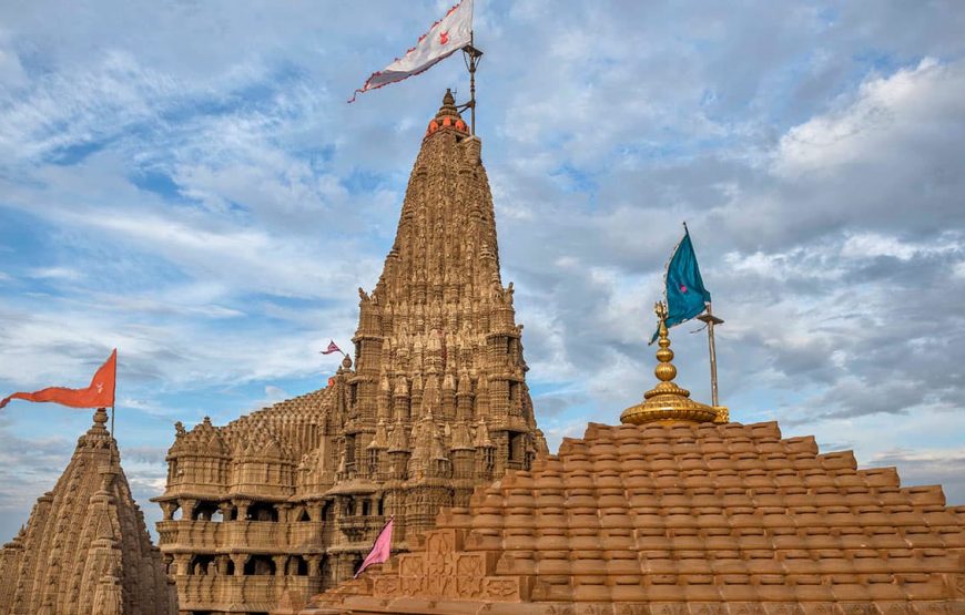 Gujarat’s Sacred Sites & Wild Wonders