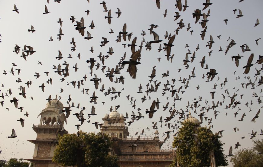 Mumbai, Rajasthan & Taj