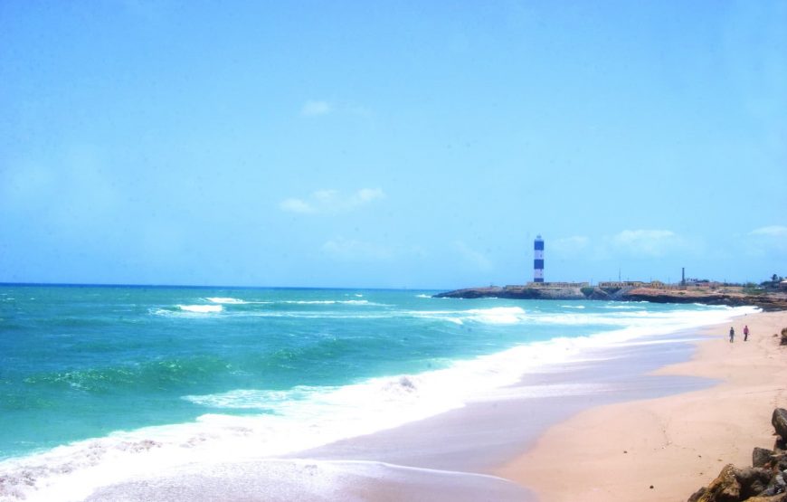 Gujarat’s Sacred Sites & Wild Wonders