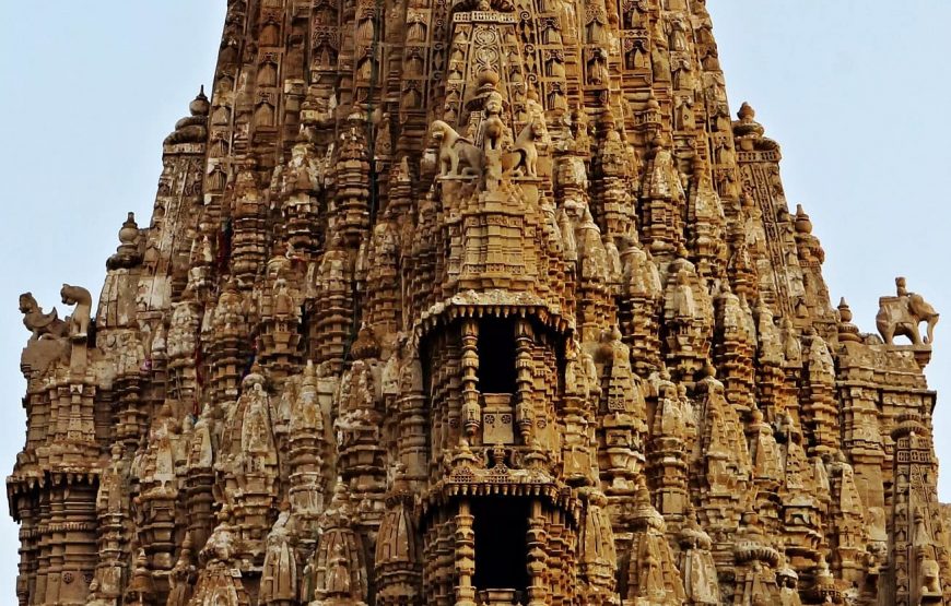 Across The Temples, Historical Sites & Wildlife of Gujarat