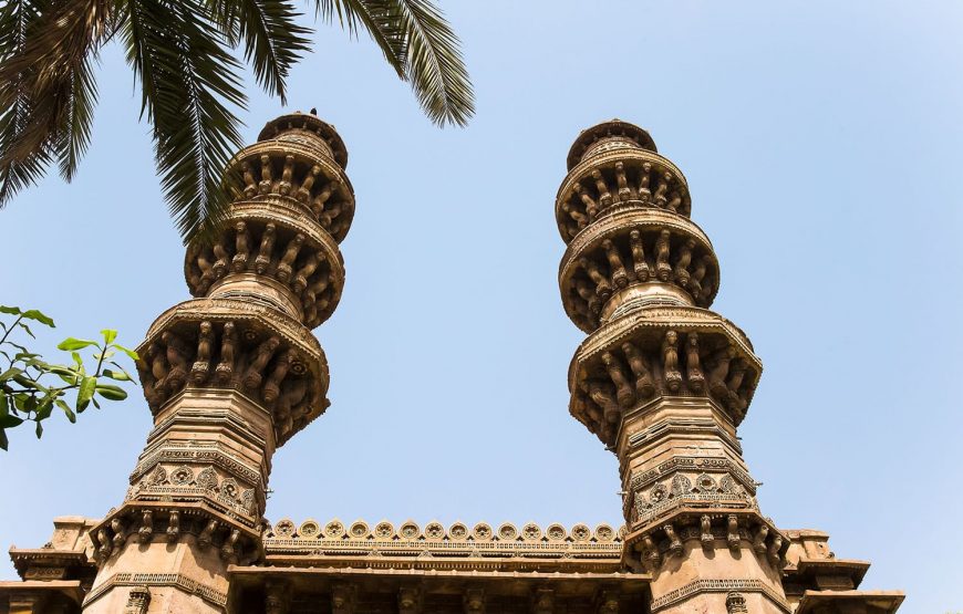 Gujarat’s Sacred Sites & Wild Wonders