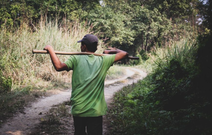 Himalayan Escape: Chitwan Wildlife, Lumbini Serenity, and Pokhara Charm