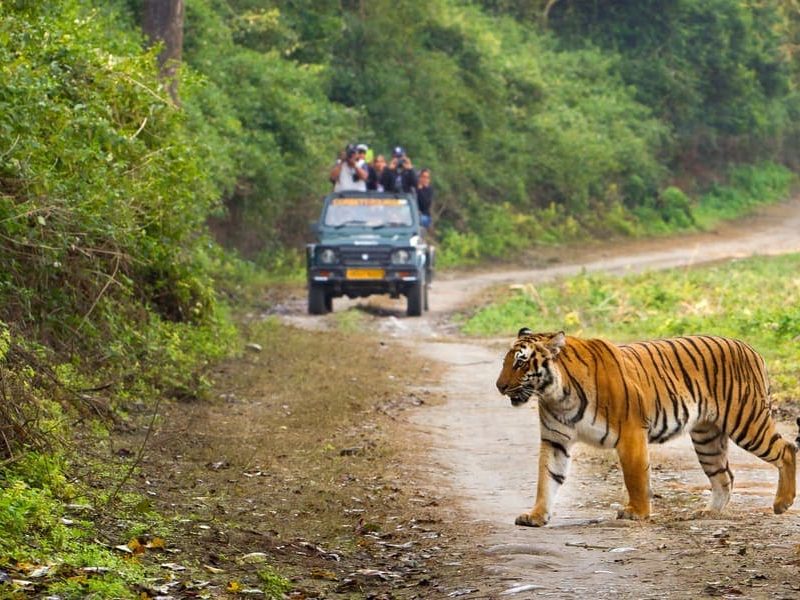 Delhi to Rishikesh & Corbett Tiger Reserve