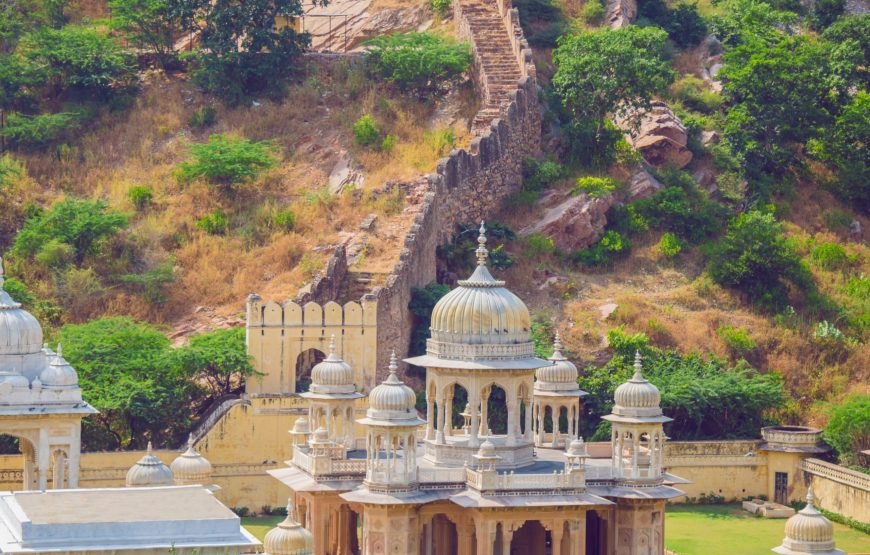 Ultimate 15 Days in India