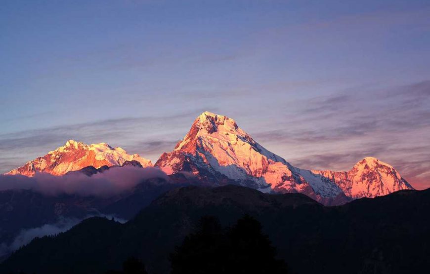 From Capital to Sacred Garden: A Spiritual Odyssey