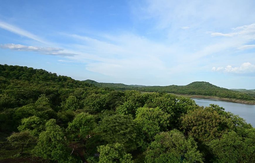 Across The Temples, Historical Sites & Wildlife of Gujarat