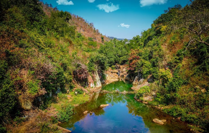 Nagpur to Vizag – Tribal Villages & Tiger Safari Experience