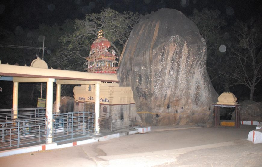 Cochin to Bangalore Backwater, Tea Estate, Temple & Palaces