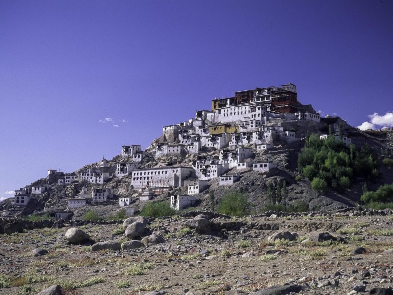 Leh- Transfers+Hotel+Sightseeing