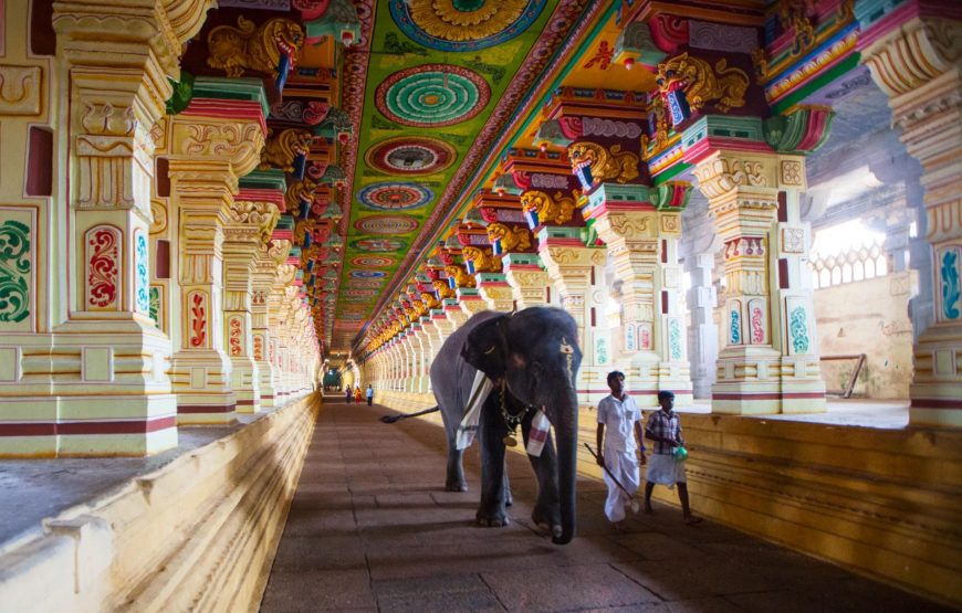 South India Temples & Andaman Island Tour from Chennai