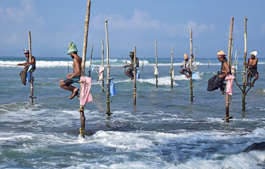 Sri Lanka Highlights: From Sigiriya to Coastal Charms