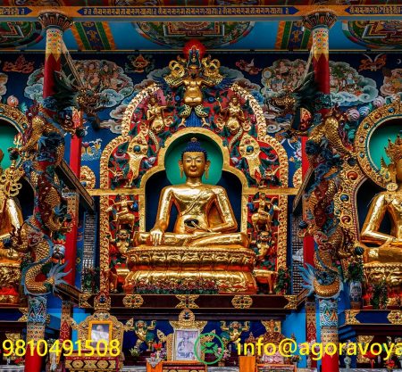 Namdroling and Beyond: Tibetan Culture & Heritage Tour
