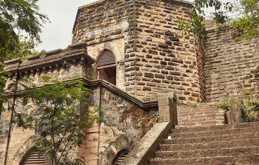 Across The Temples, Historical Sites & Wildlife of Gujarat