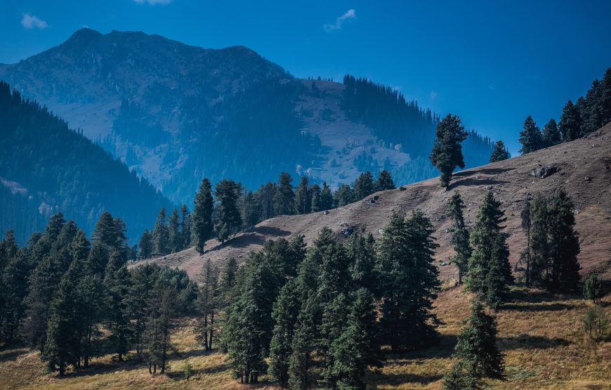 Valley of Kashmir with Taj Mahal