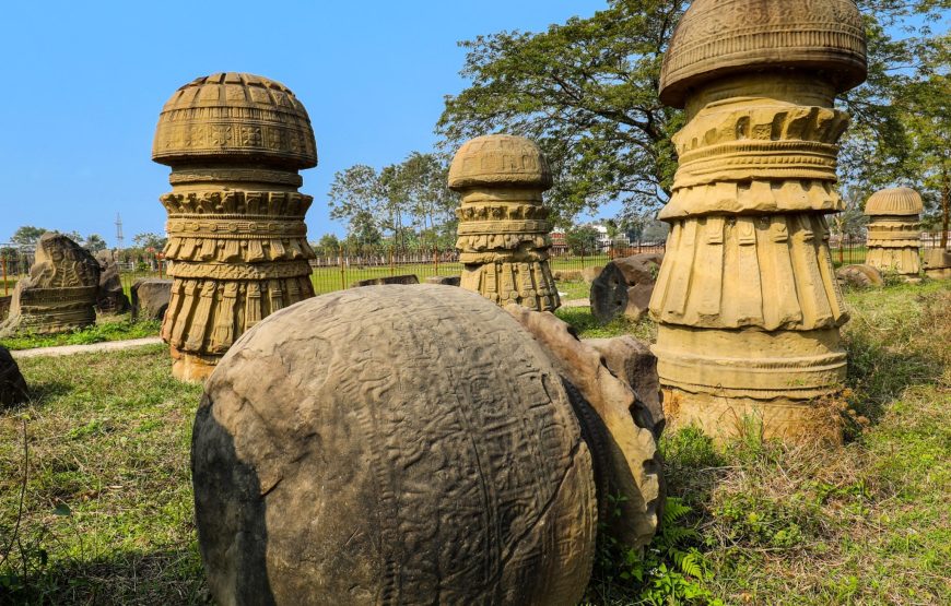 Tiger Reserves & Tribal Villages of Northeast India