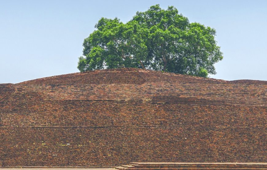 Kolkata, Bodhgaya & Varanasi Tour