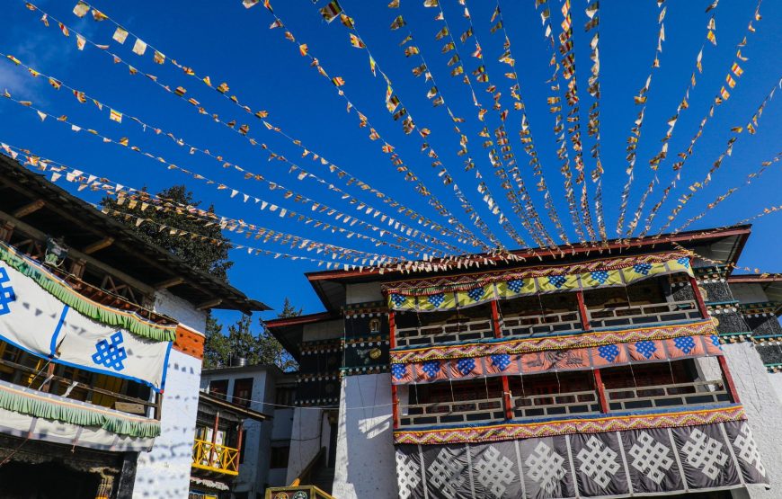 National Park & Buddhist Monasteries Tour from Guwahati